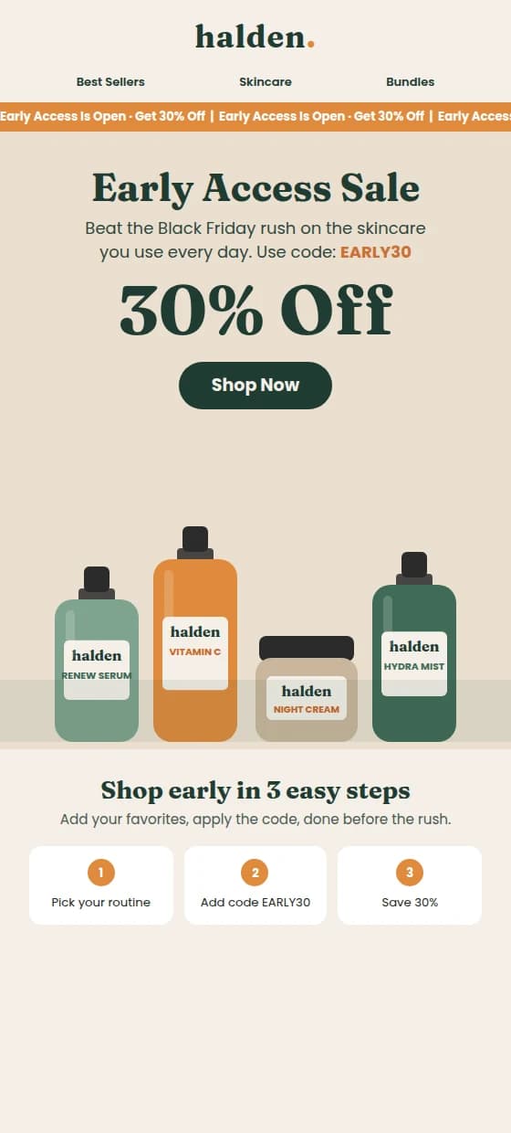 Example early access email opening the sale to the full list before Black Friday